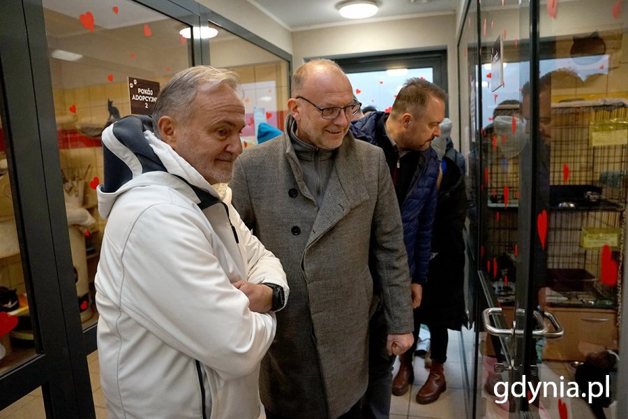 Od lewej: prezydent Gdyni Wojciech Szczurek i wiceprezydenci Michał Guć i Marek Łucyk podczas odwiedzin w kociarni 