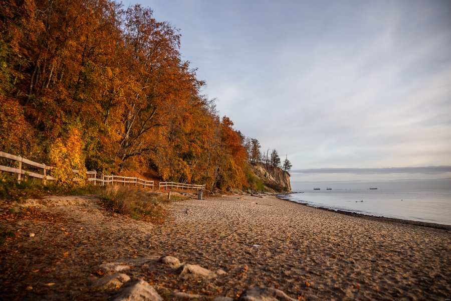 Barwy jesieni. Gdynia Orłowo // fot. Karol Stańczak 