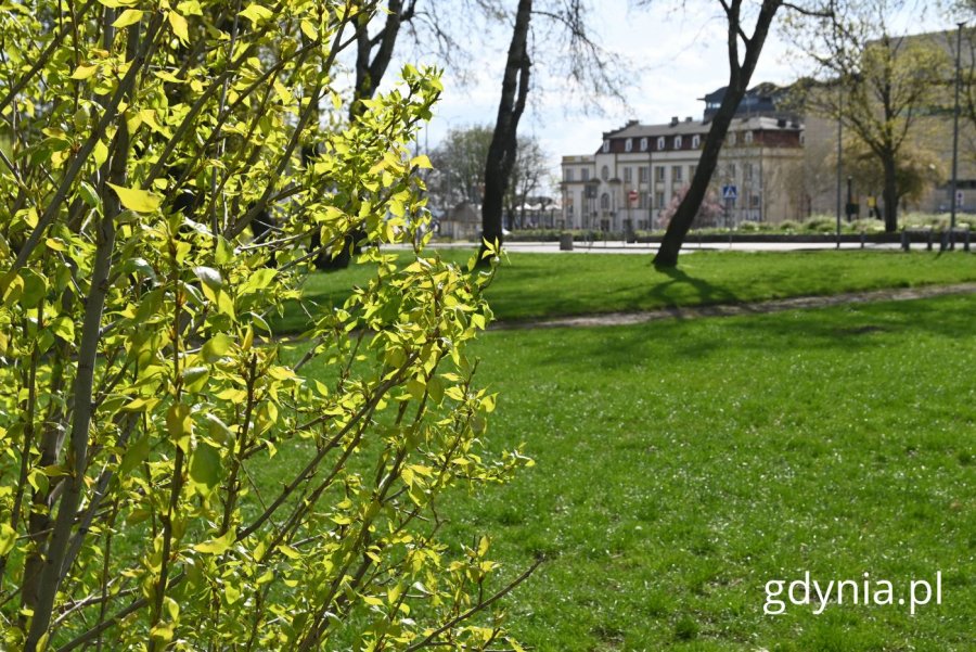 Park Rady Europy, w tle PTTK. Oddział Marynarki Wojennej przy Klubie MW (fot. Magdalena Starnawska)