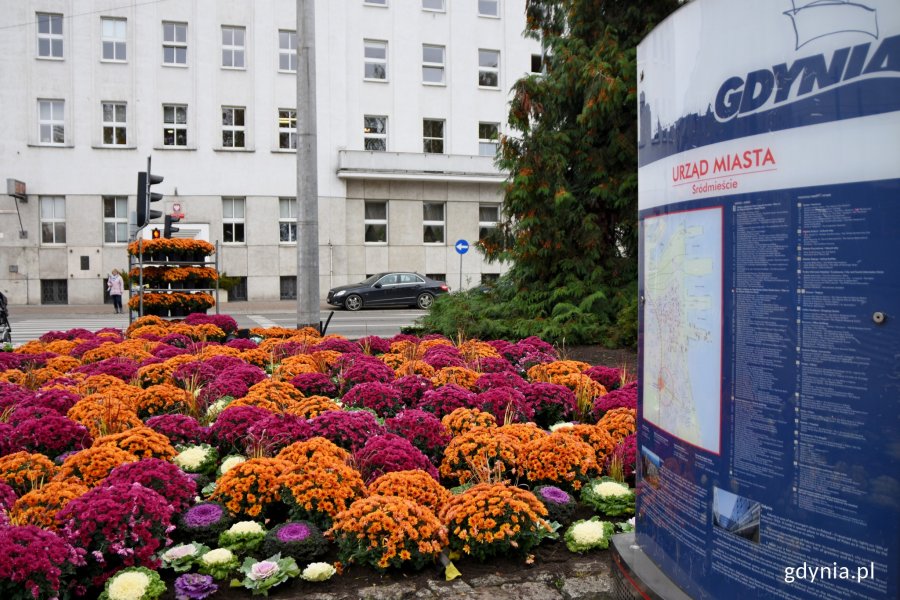Gdynia w jesiennej odsłonie // fot. Paweł Kukla