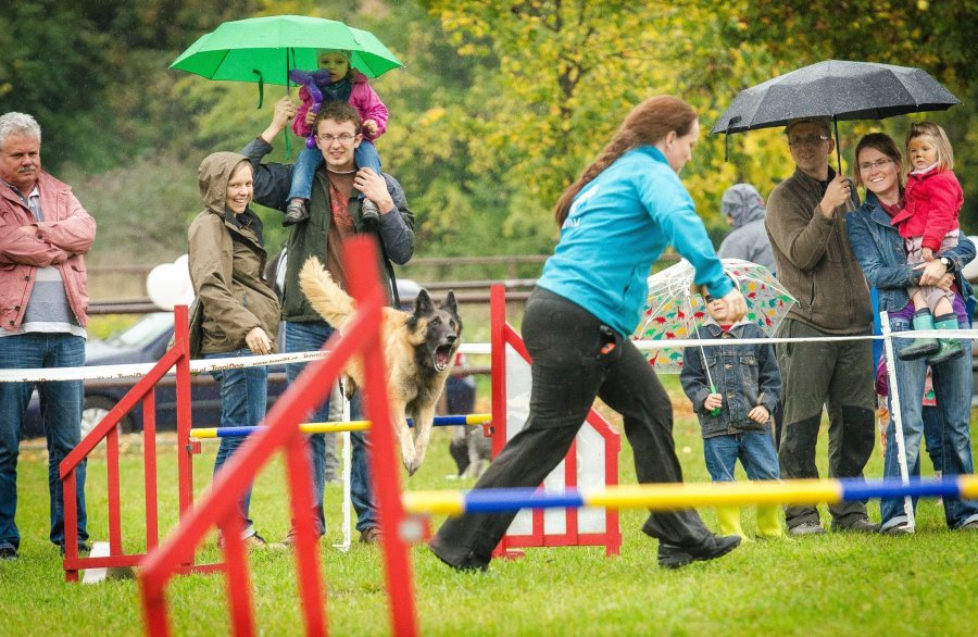 Psie Fikołki 11.10.2014