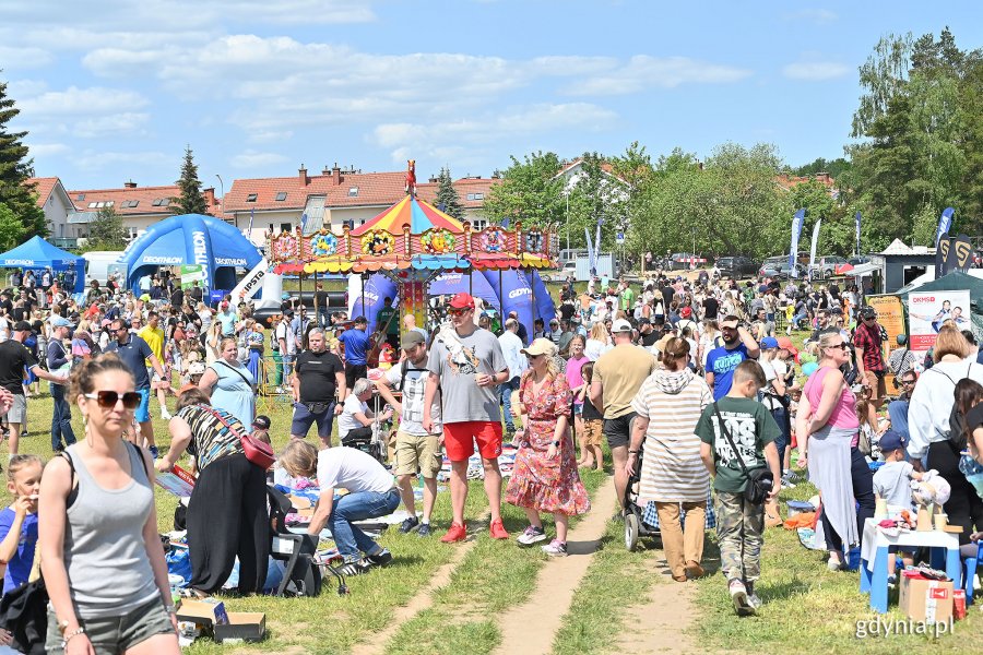 Tłum mieszkańców na pikniku rodzinnym
