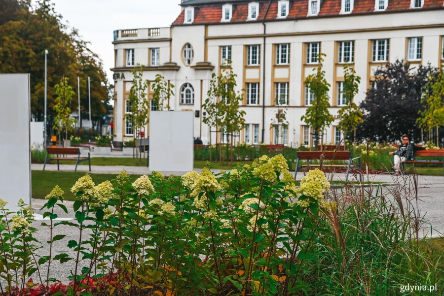 Plac przy ul. Zawiszy Czarnego zmienia się na zielony. Fot. Marcin Mielewski