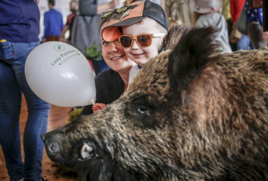 Leśny Festyn Edukacyjny