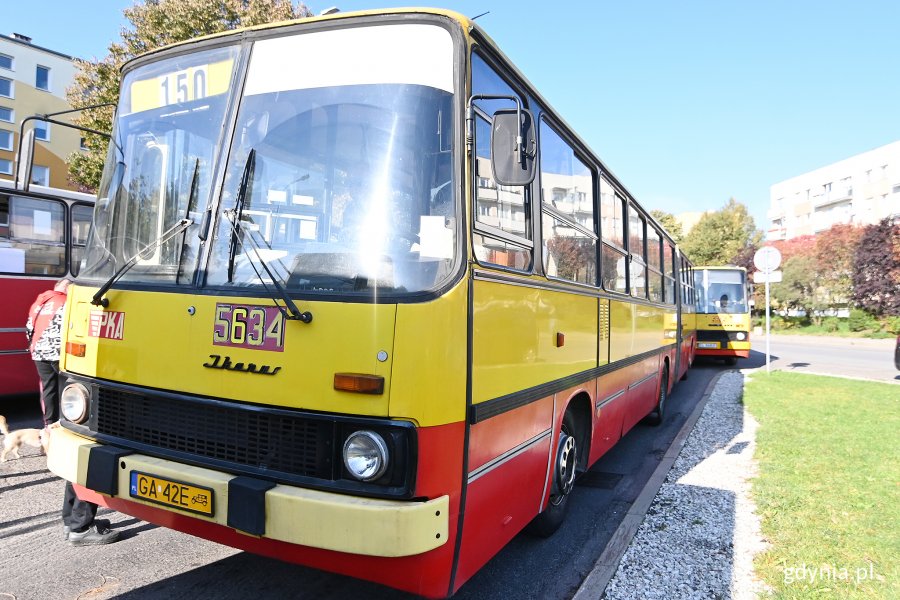 Ikarusy 280 wróciły na linię 150 z okazji 40-lecia wprowadzenia do gdyńskiej komunikacji miejskiej. Fot. Michał Puszczewicz 