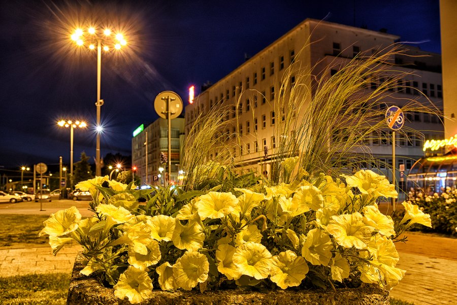 Gdynia nocą, fot. Michał Puszczewicz