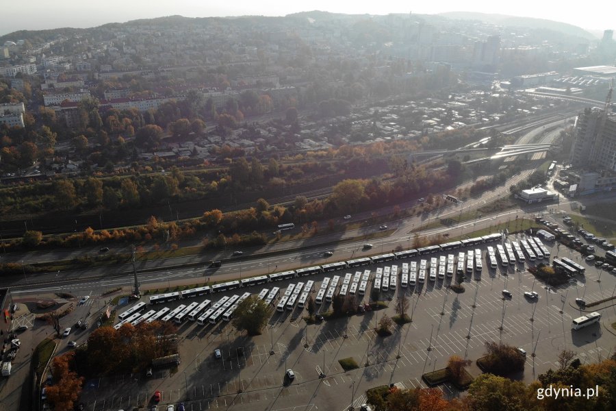 55 nowoczesnych i ekologicznych autobusów trafiło do Gdyni // fot. Michał Puszczewicz