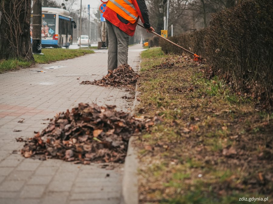 grabienie liści, widoczna osoba grabiące liście. Zebrana liście leżą na chodniku