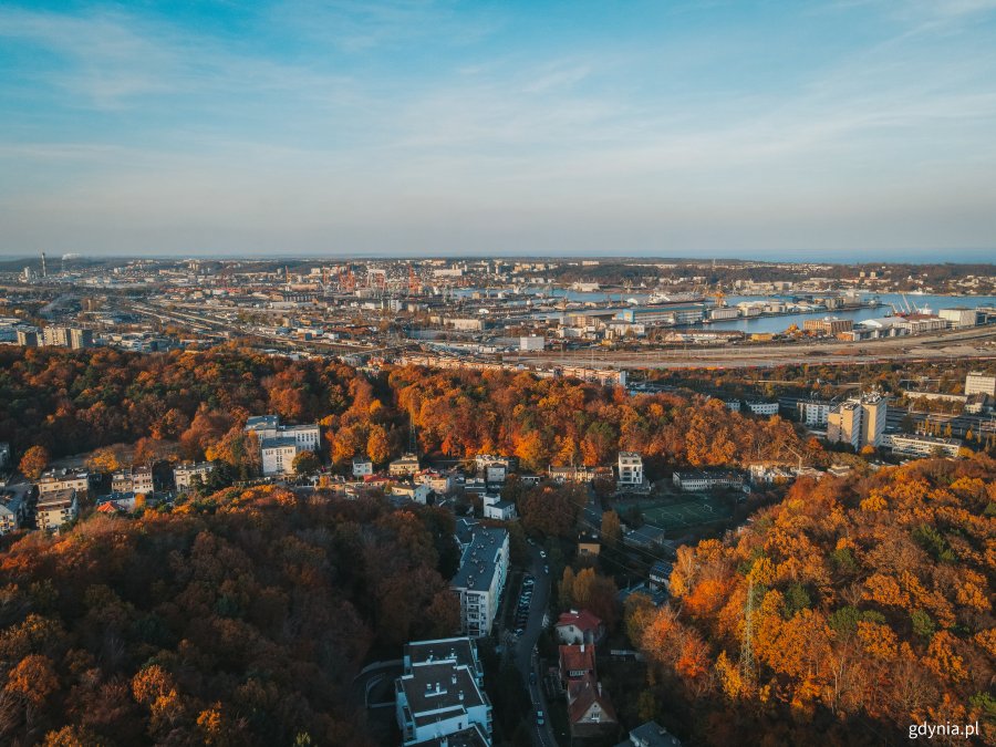 Panorama miasta // fot. Marcin Mielewski