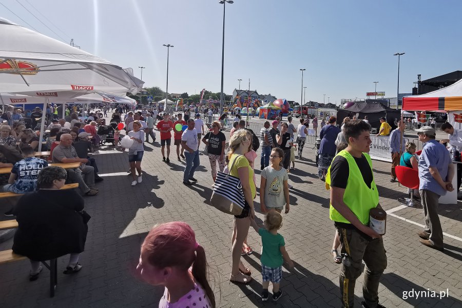 Piknik „Z Pogórza Lato Rusza 2019”, fot. Michał Puszczewicz