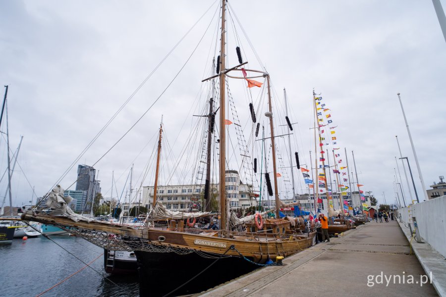Jachty z duszą cumujące w Marinie Gdynia