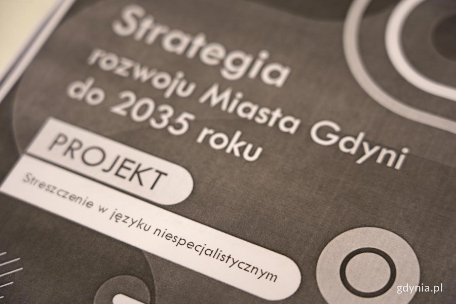 egzemplarz Strategii 2035