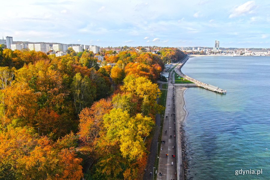 Widok z lotu ptaka na bulwar Nadmorski, wzdłuż którego są drzewa w jesiennej szacie. W tle plaża Śródmieście i budynek Sea Towers // fot. Michał Puszczewicz