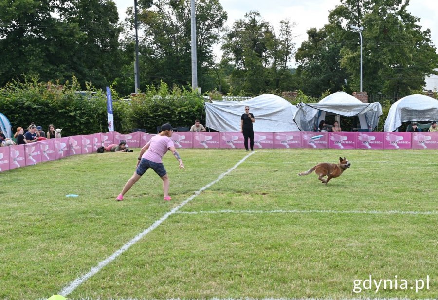 Właścicielka rzuca psu frisbee