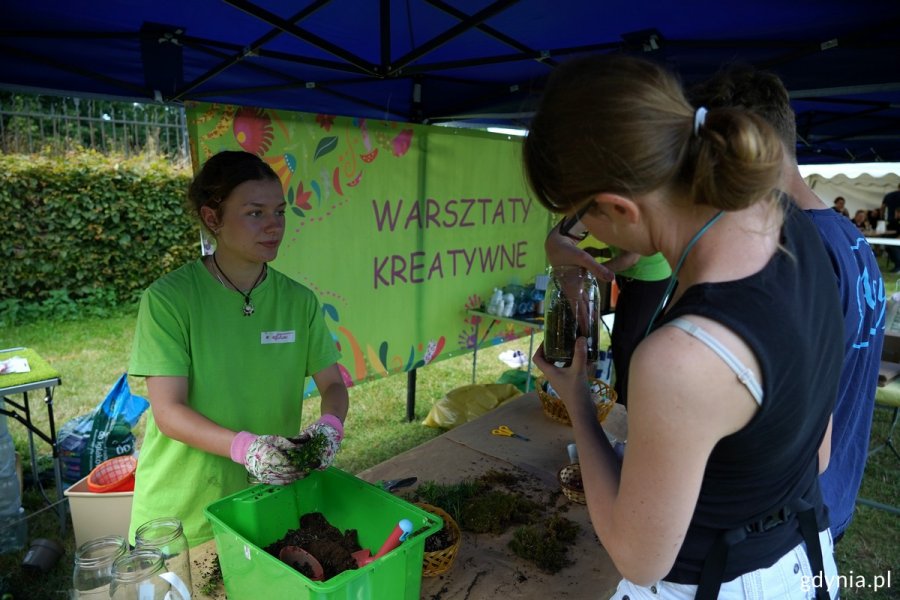 Kilka osób robi własny las w słoiku