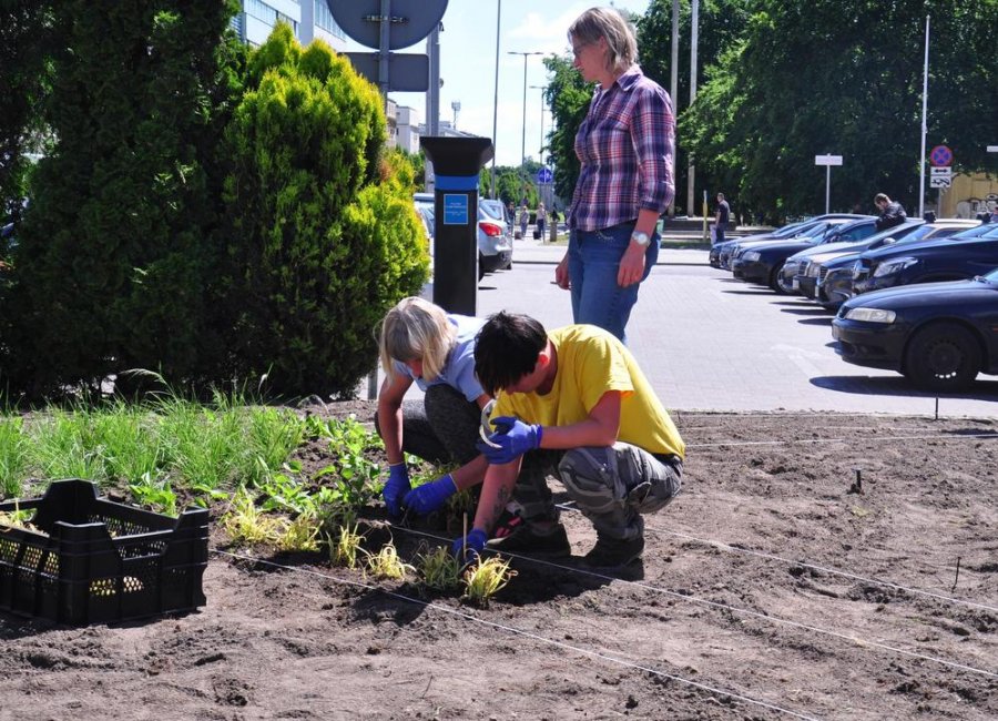 Od przedpołudnia trwały prace nad realizacją „Kwiatowej Arki” // fot. Magdalena Czernek