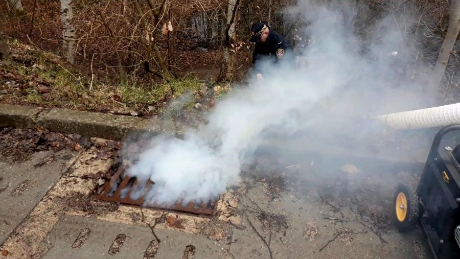 fot. materiały Straży Miejskiej w Gdyni