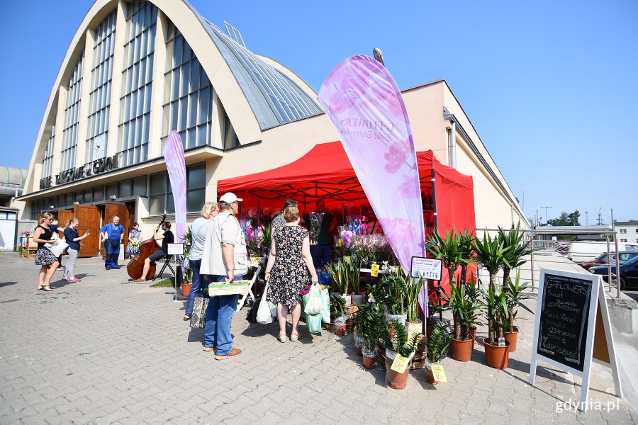 Festiwal kwiatów w Miejskich Halach Targowych // fot. Michał Puszczewicz