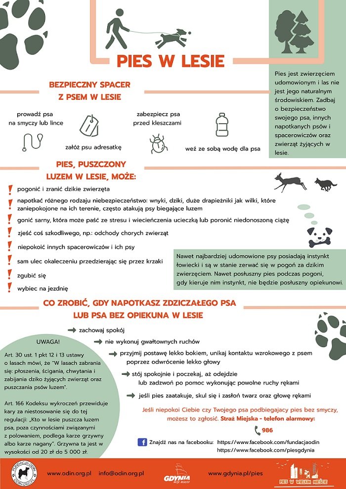 tablica informacyjna, co może zrobić pies puszczony luzem w lesie i co zrobić gdy spotkamy psa bez opiekuna
