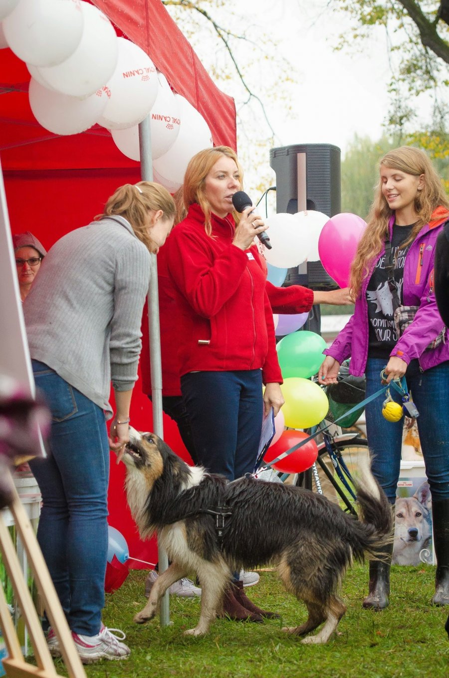 Psie Fikołki 11.10.2014
