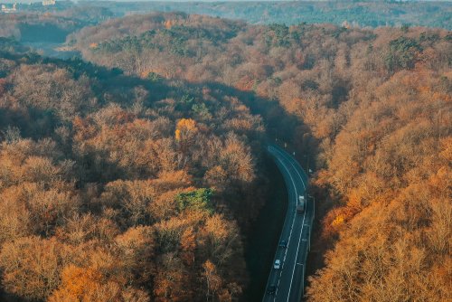 Od 22 listopada ulica Kielecka będzie jednokierunkowa, w kierunku Witomina (fot. Marcin Mielewski, ZDiZ Gdynia)