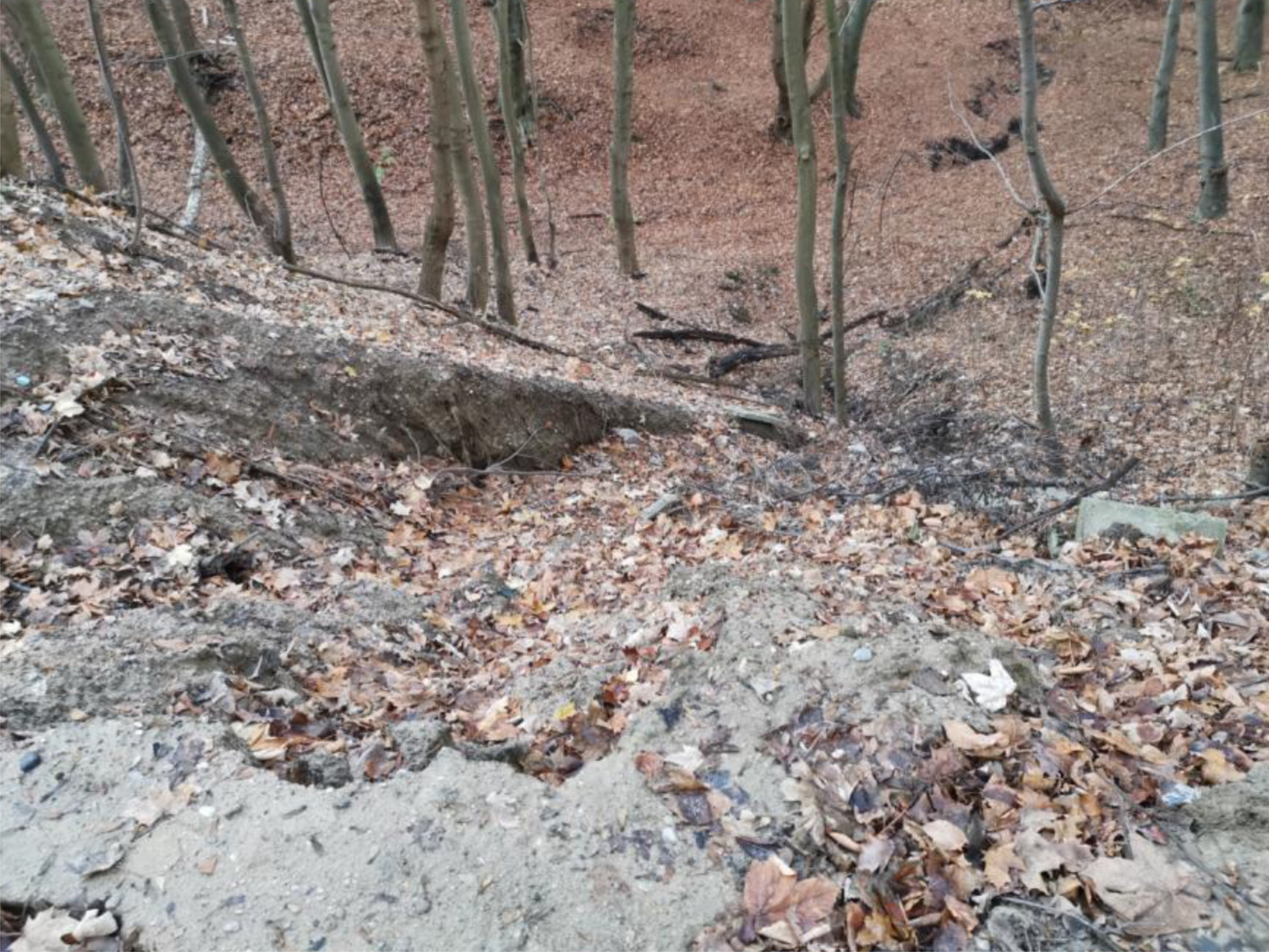 zapadliny w ciągu pieszym i na jego obrzeżach, fot. WOM