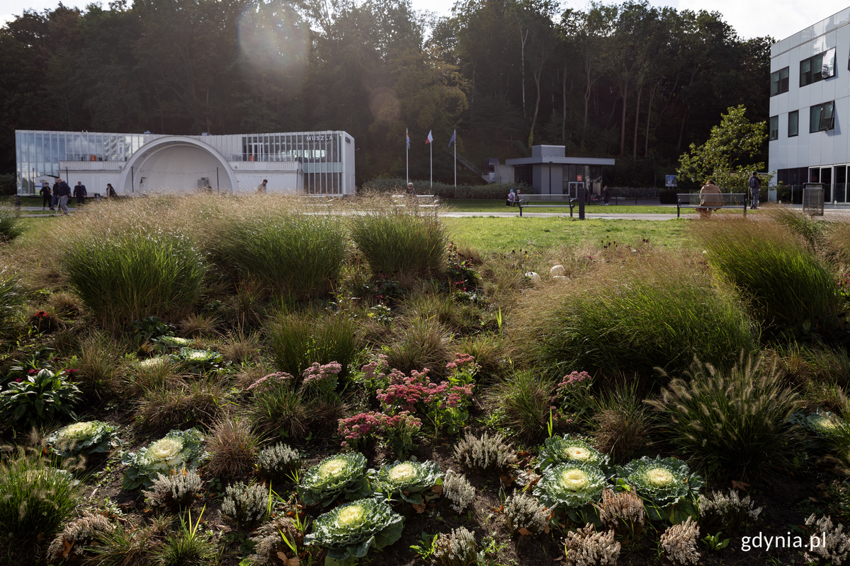 Rabaty z roślinami przy placu miejskim.