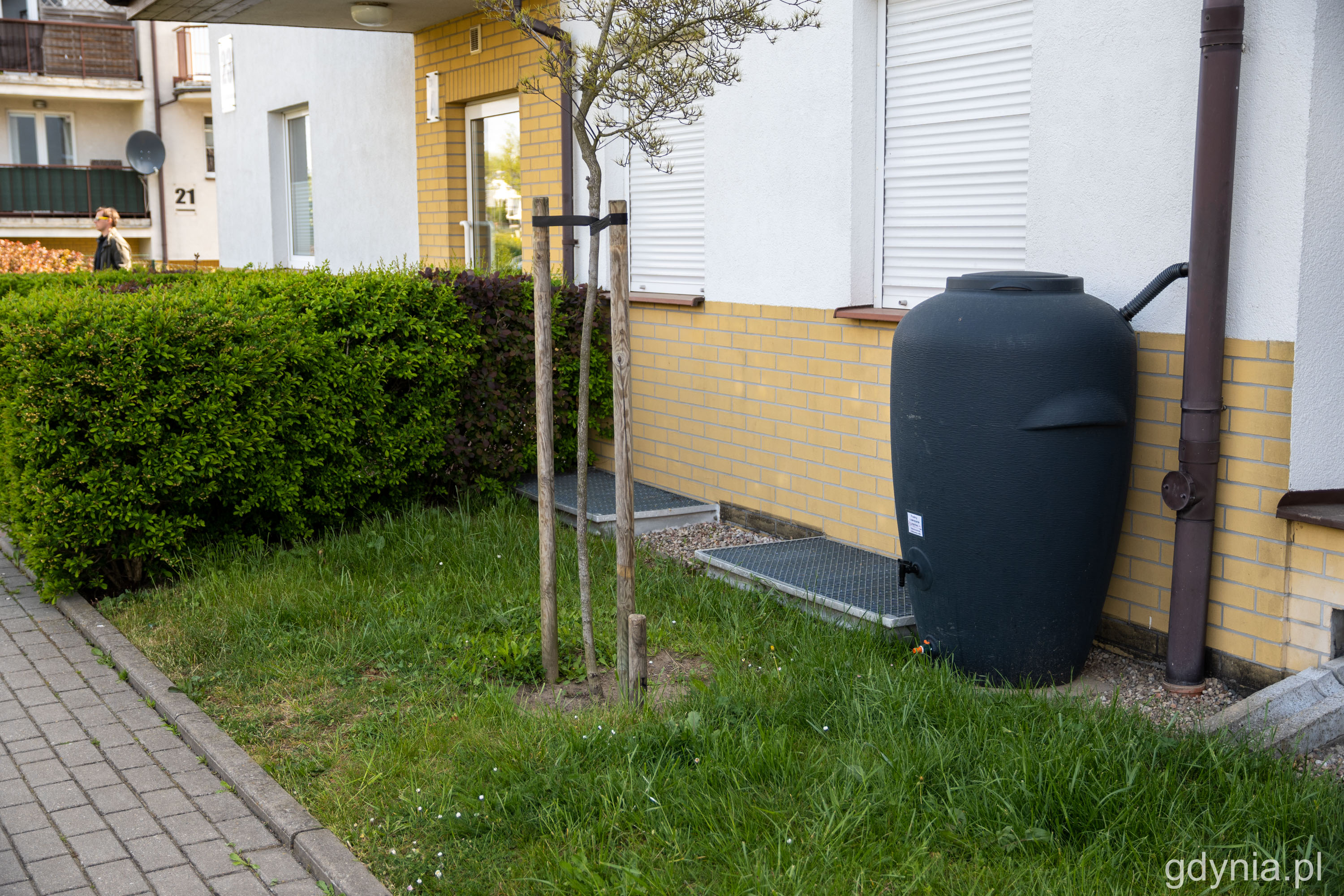 Beczki o pojemności 440 litrów rozmieszczone są w różnych miejscach niewielkiego osiedla mieszkaniowego w Wielkim Kacku // fot. Paweł Kukla