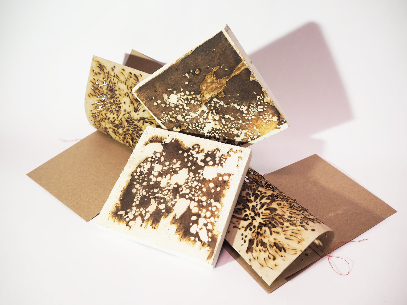 Halo Kultura: projekt TU Zuzanny Seweryn, fot. HK