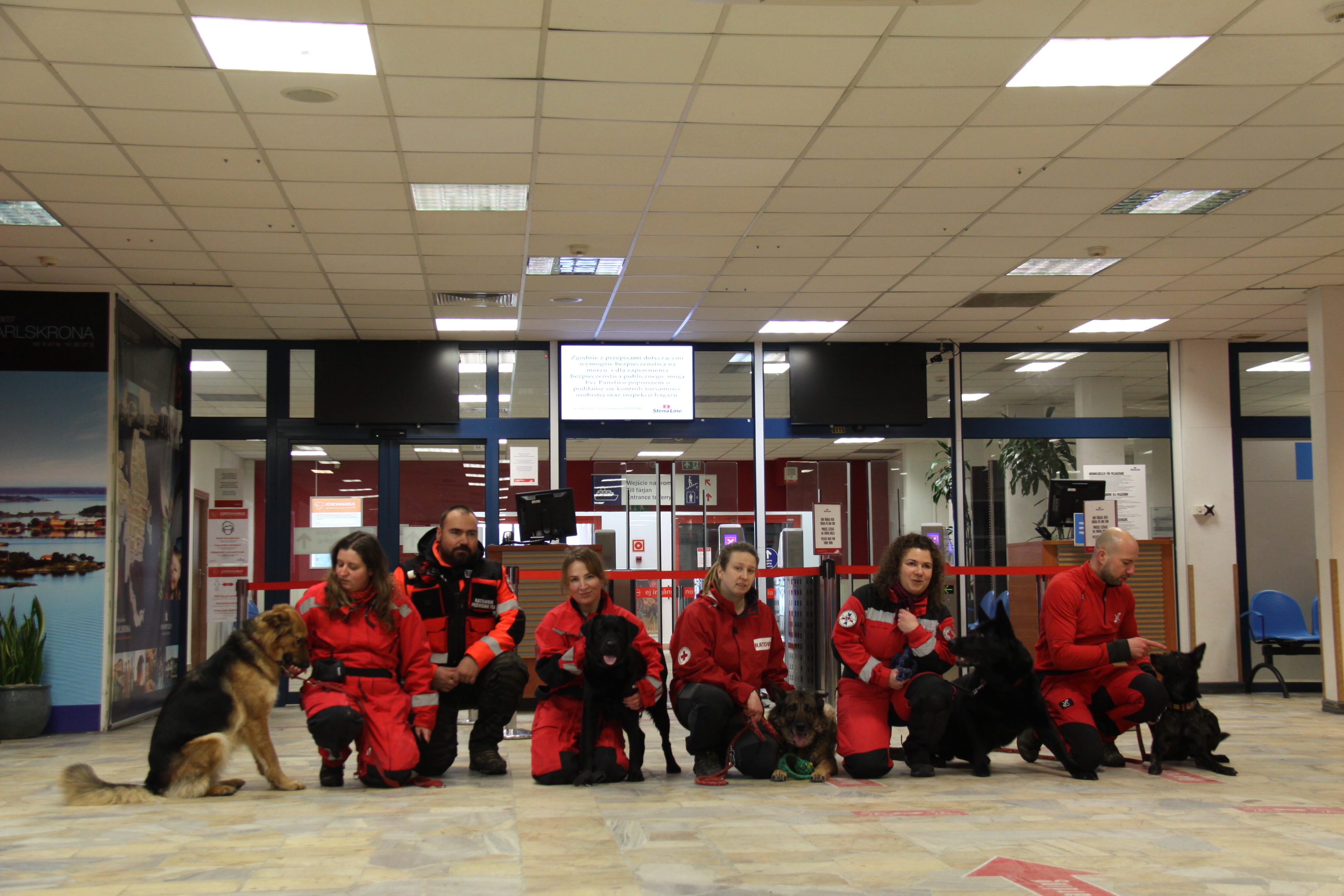 Na zdj.&nbsp;Grupa Ratownictwa Specjalnego PCK Tr&oacute;jmiasto na terminalu Stena Line, fot. Port Gdynia
