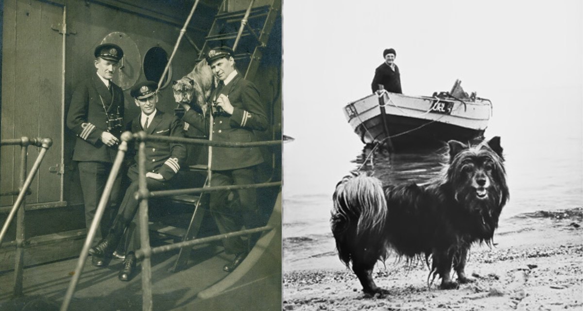 Kolaż zdjęć. Po lewej: Trójka marynarzy w towarzystwie psa, stojący i siedzący na podkładzie. Po prawej: pies na pierwszym planie, w tle kuter stojący na morzu. W środku jeden z rybaków.