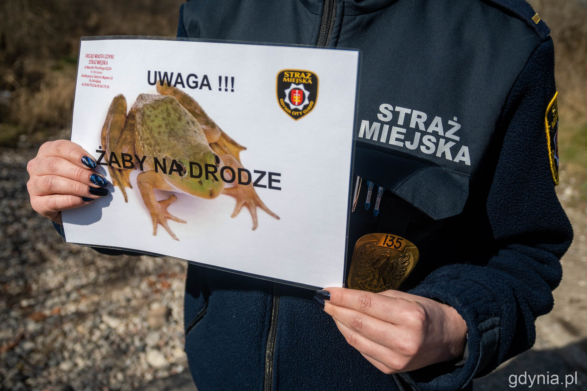 EkoPatrol Straży Miejskiej w Gdyni oznacza miejsca, w których przez drogi przedostają się żaby // fot. Paweł Kukla