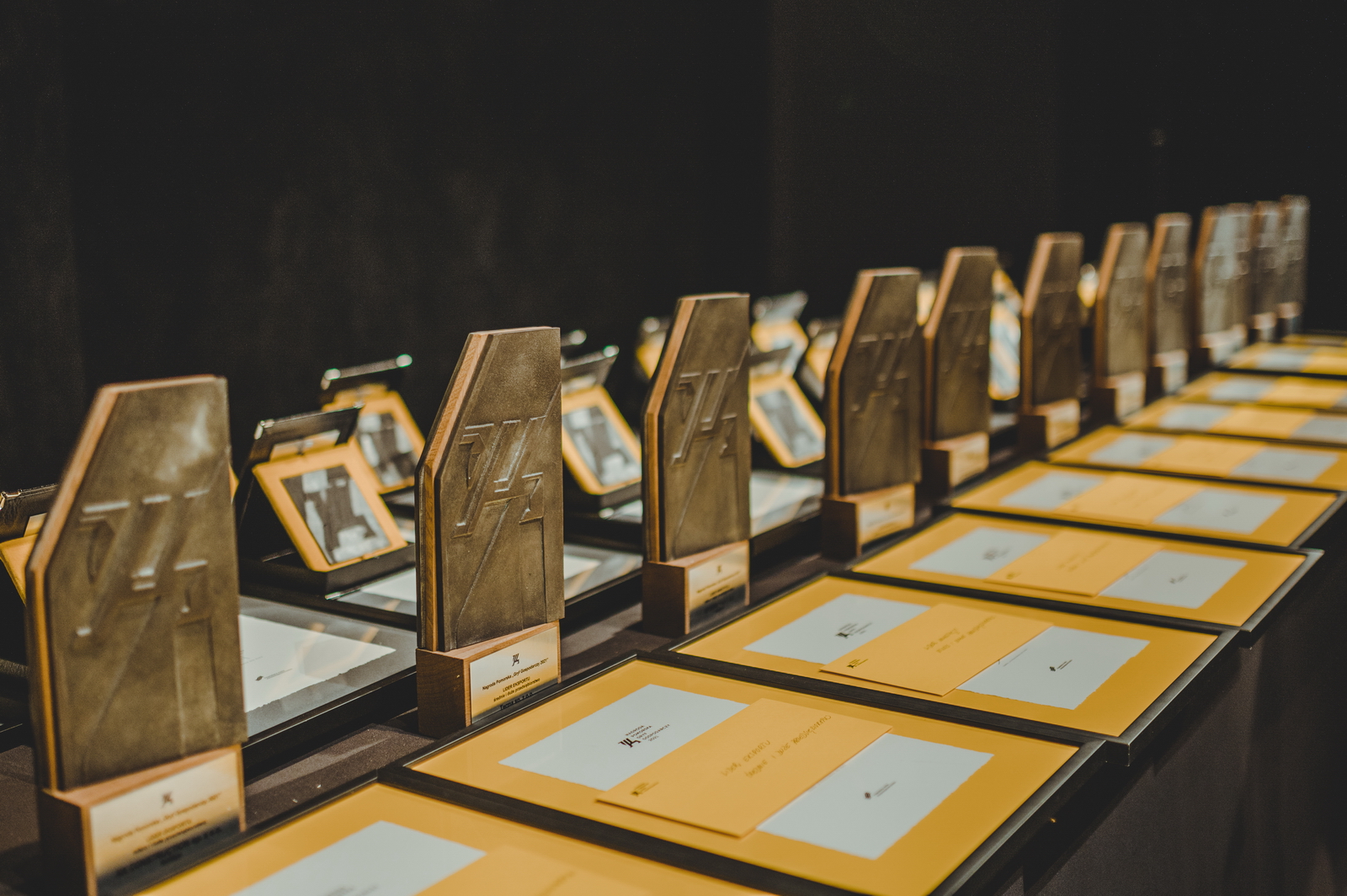 Statuetki "Gryf&oacute;w Gospodarczych" // fot. Piotr Połoczański