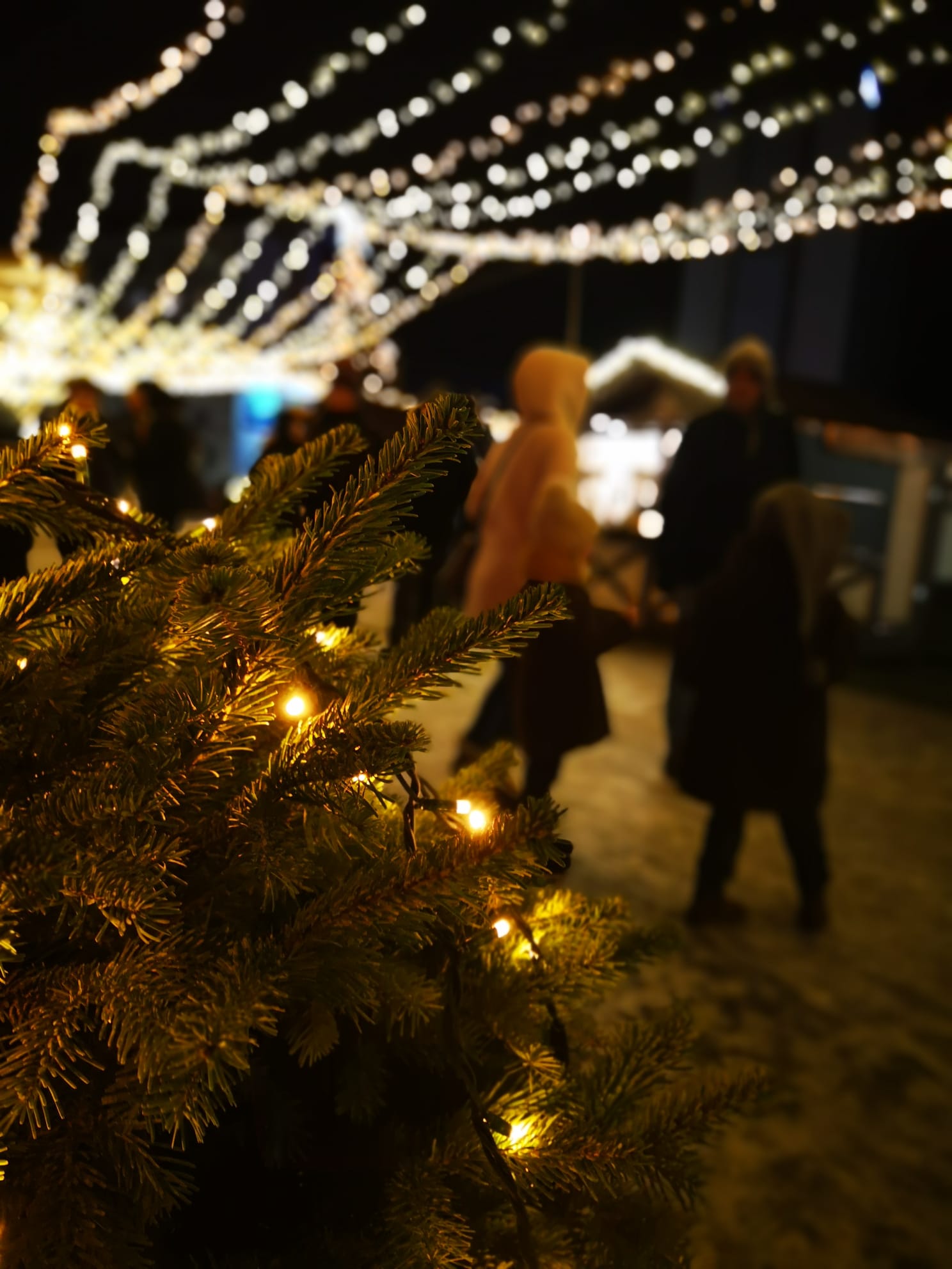Gdyński Jarmark Świąteczny, fot. Karolina Szypelt