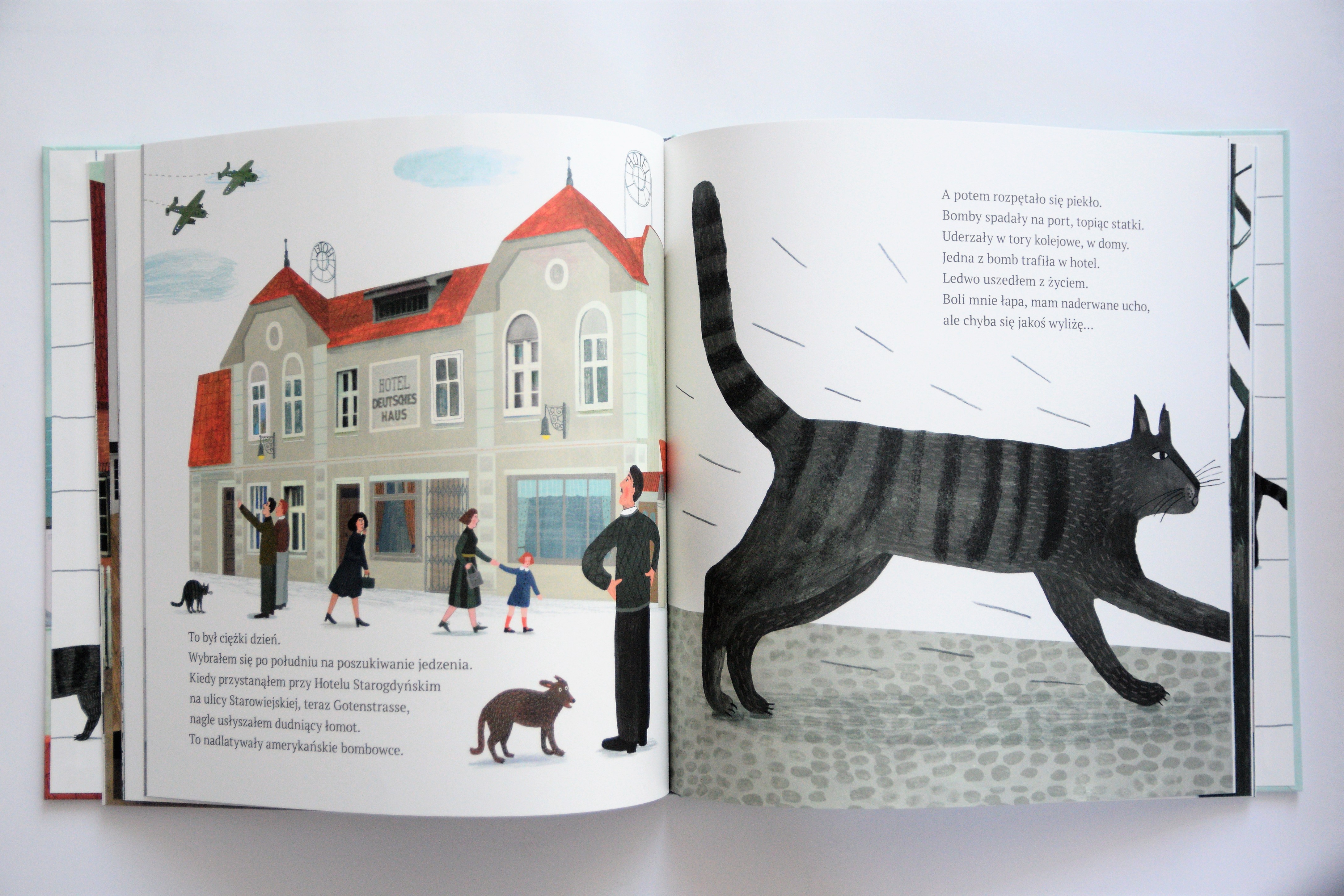 Książka "Gdyńskie wędr&oacute;wki kota Antoniego".