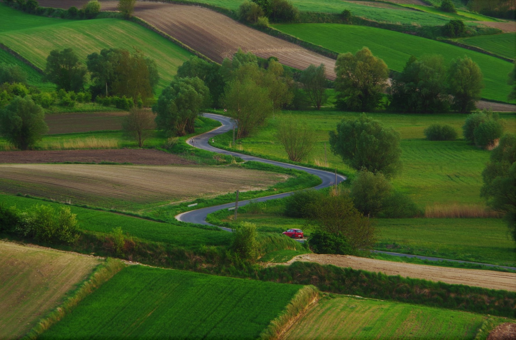 Wernisaż wystawy fotograficznej &bdquo;M&oacute;j świat"