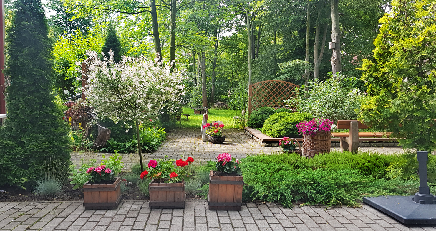 Ogr&oacute;d. // zdjęcie archiwalne