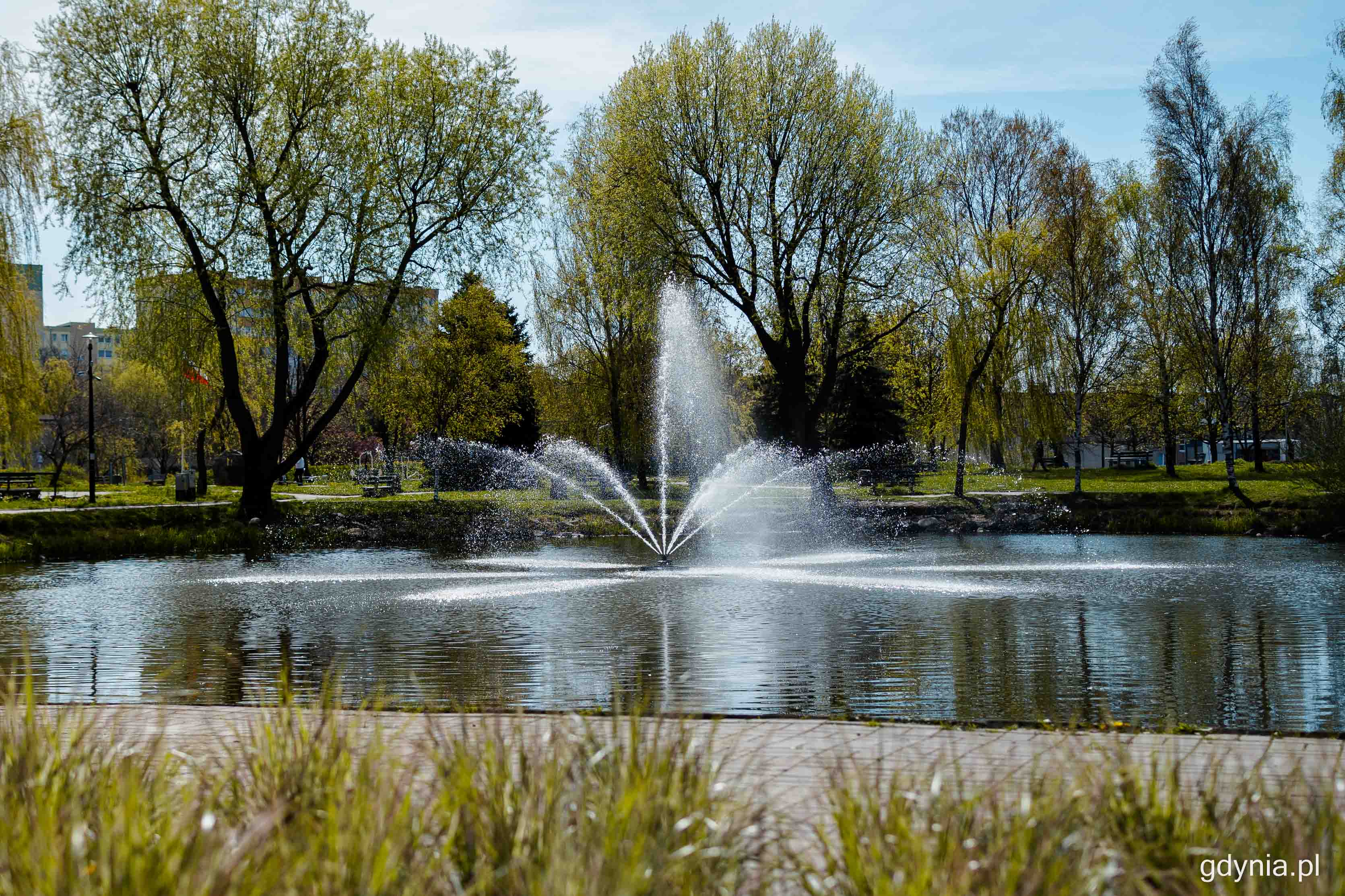 pływająca fontanna na terenie parku, fontanna na stawie