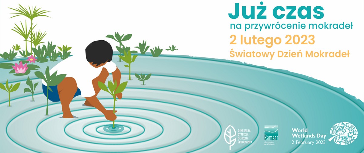 Grafika promująca Światowy Dzień Mokradeł 2023 // materiały prasowe