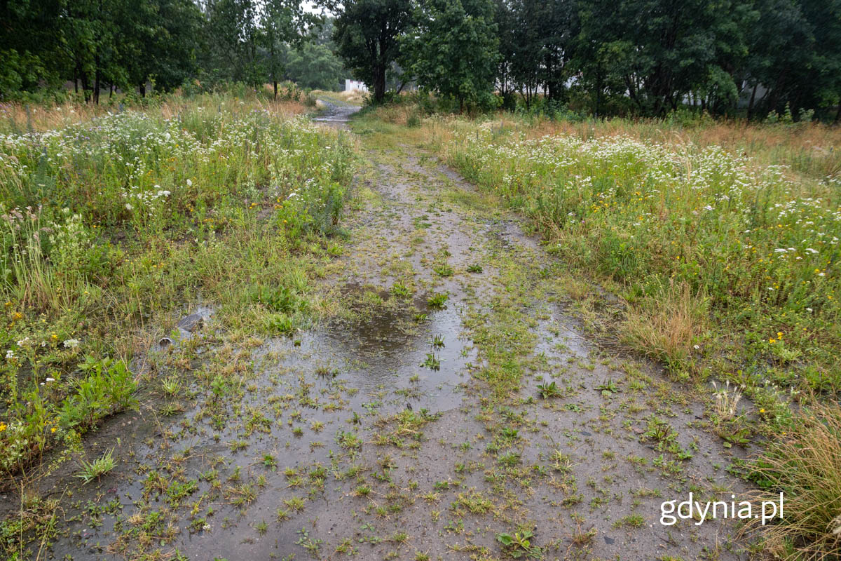 Nieurządzona przestrzeń, widoczna ścieżka między zielenią, betonowy płot
