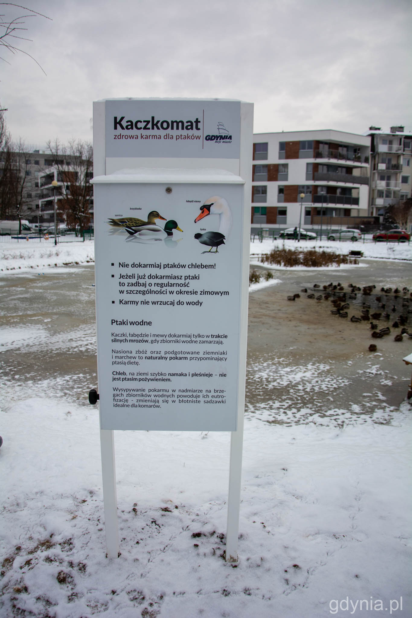 Kaczkomat przy stawie na Dąbrowie // fot. Paweł Kukla