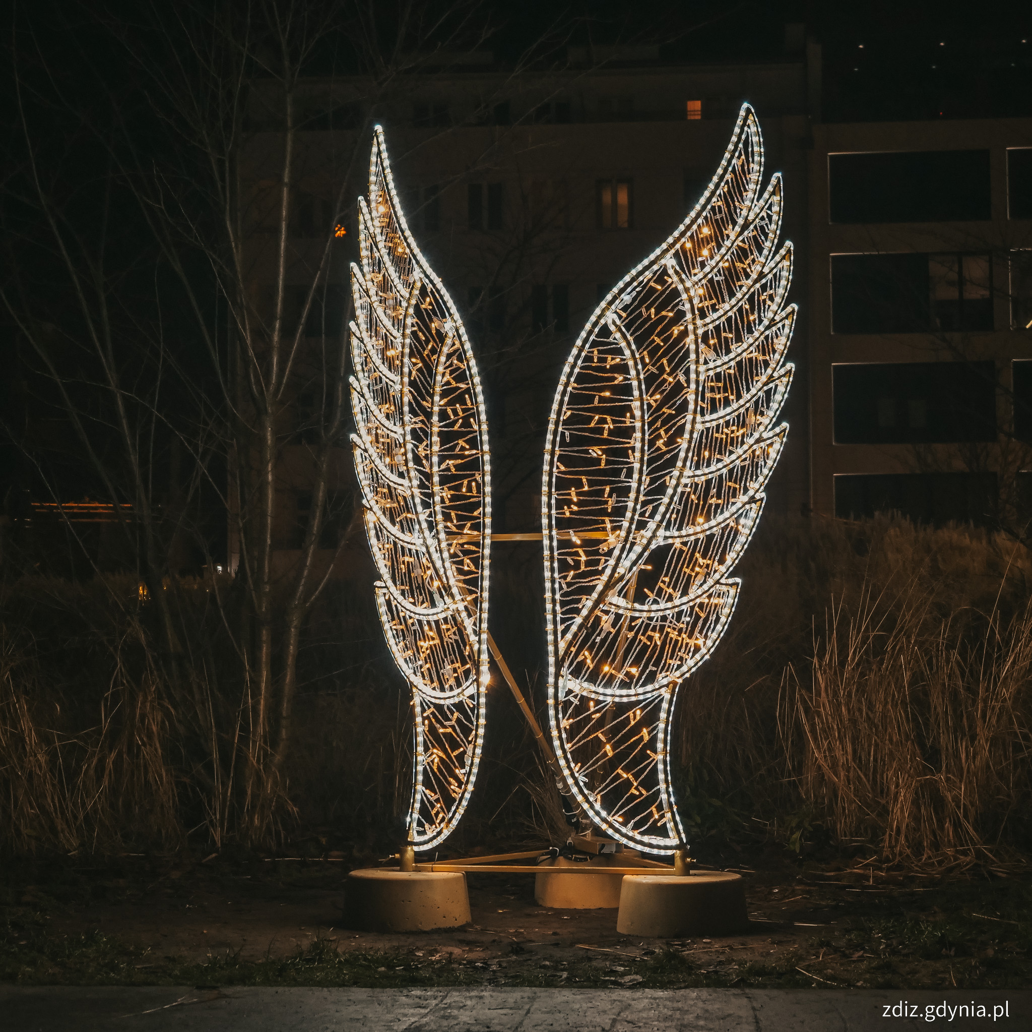 Świetliste skrzydła, iluminacje 2025 // fot. M. Mielewski