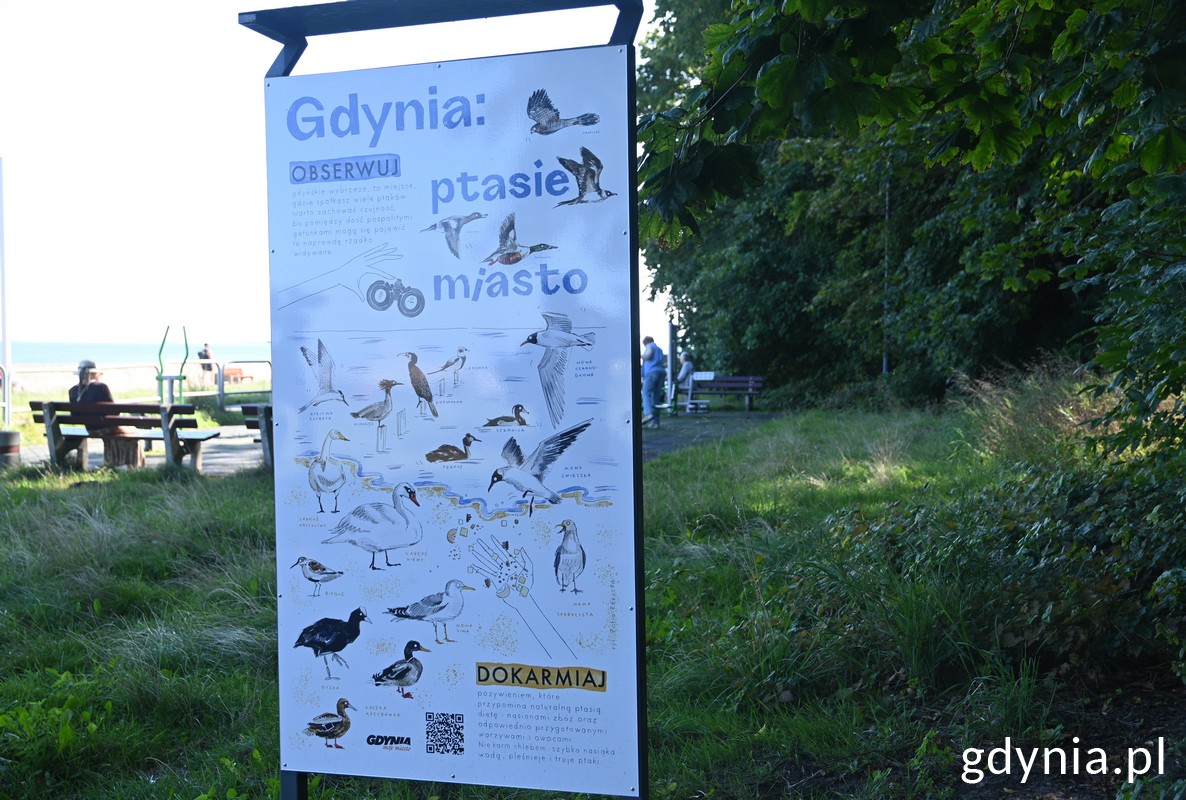 Tablica edukacyjna z rysunkami ptak&oacute;w