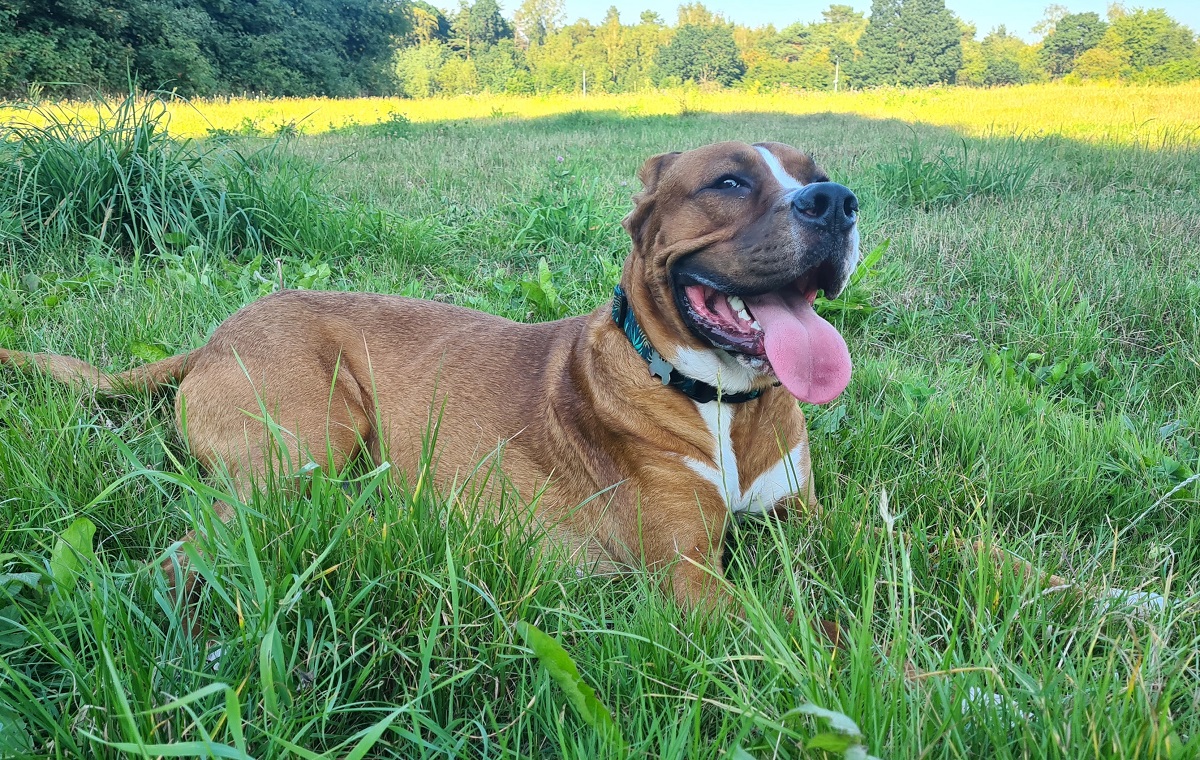 Pablo