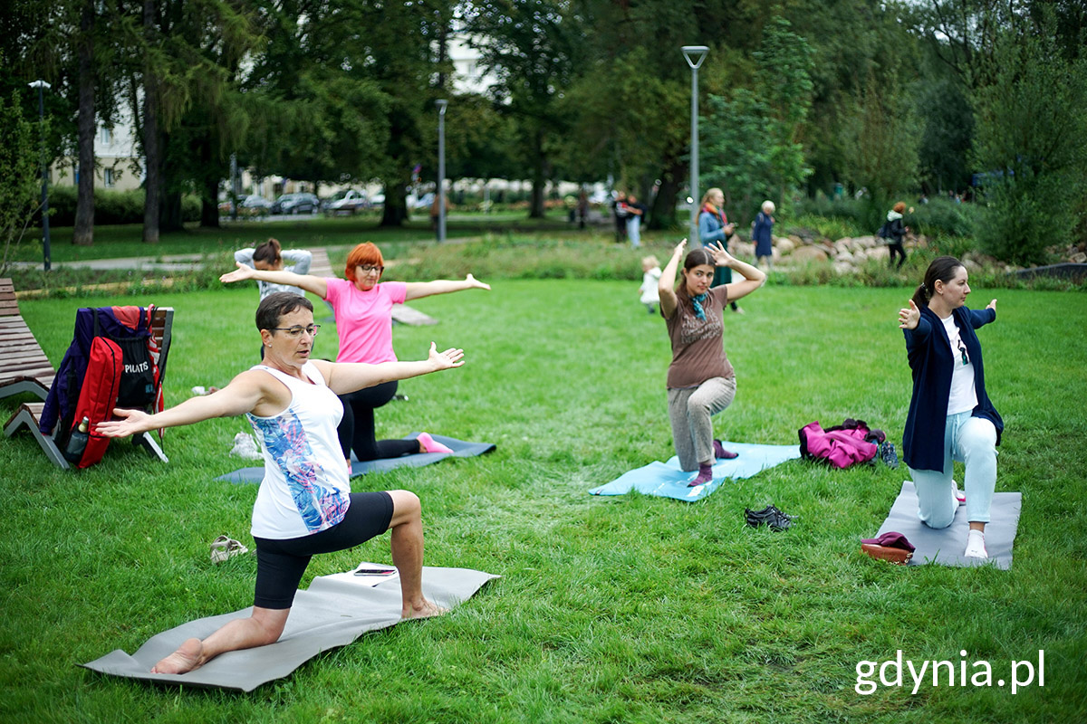 Joga, park centralny, trawnik, kilka os&oacute;b na matach wykonuje ćwiczenia