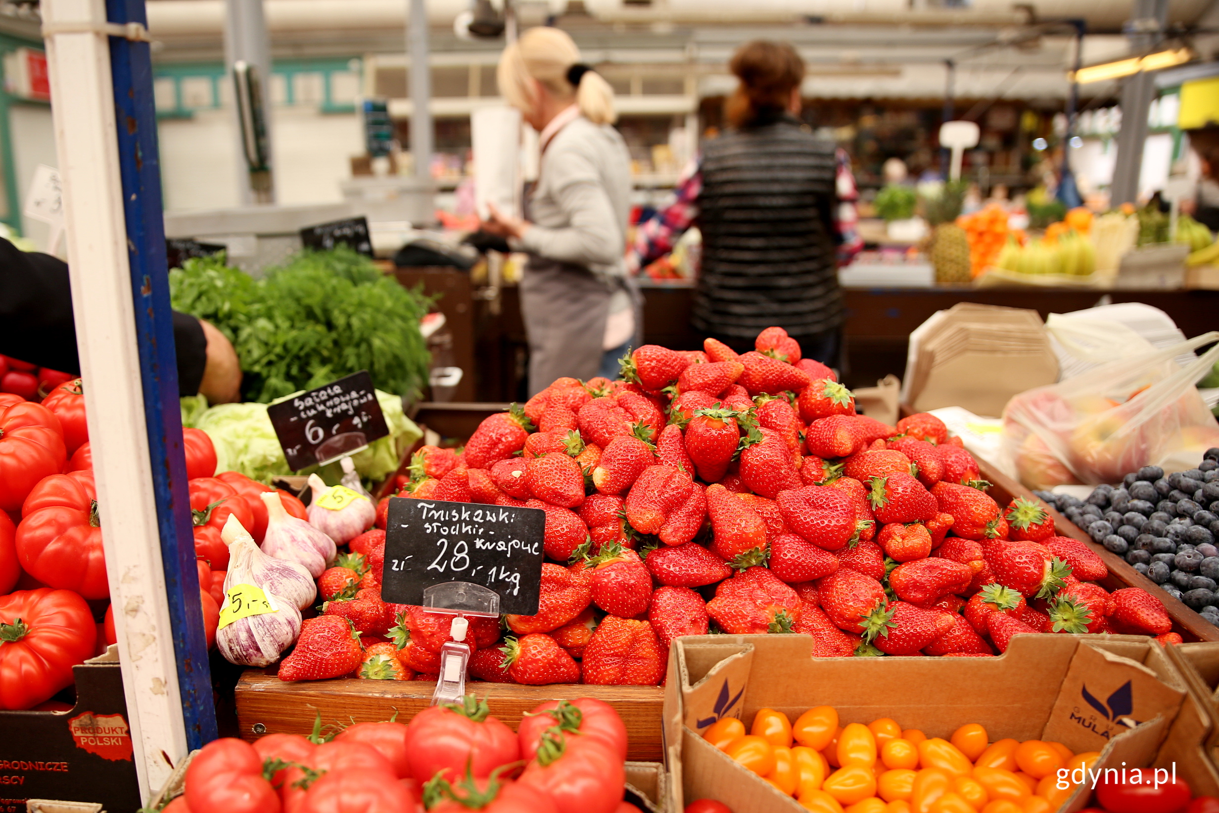 Kr&oacute;lowa hal - truskwaka polska. Fot. Przemysław Kozłowski