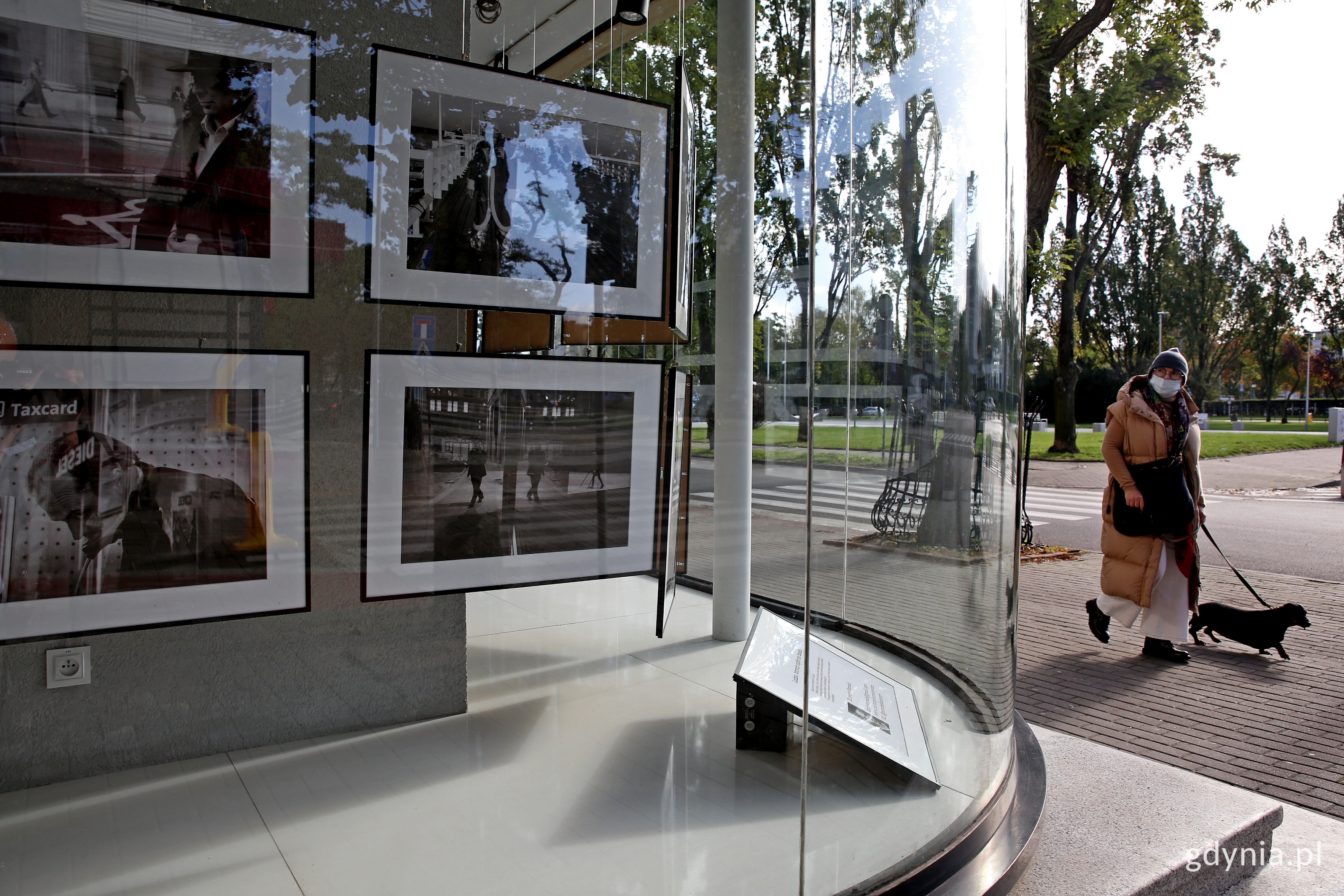 fot. Przemysław Kozłowski