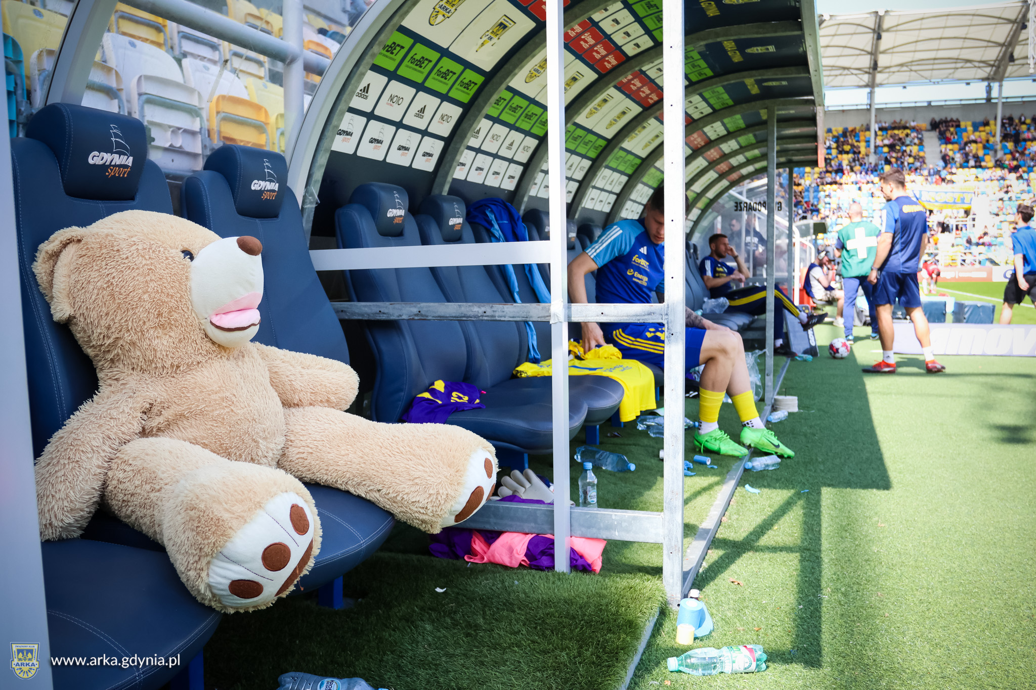 miś na łąwce zawodnik&oacute;w Arki