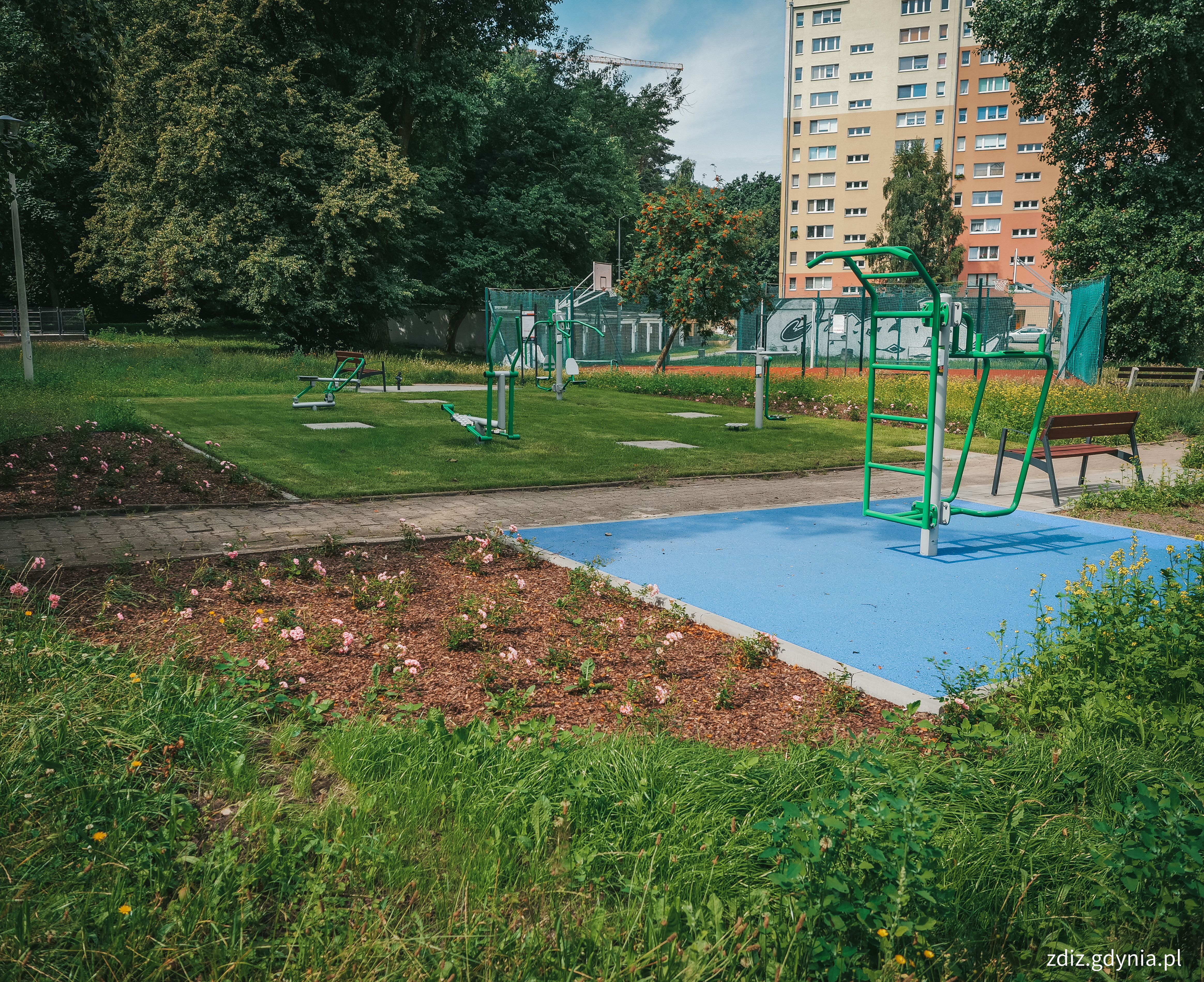 Cisowa: Ogr&oacute;d r&oacute;żany, plac zabaw i siłownia pod chmurką, fot. M.Mielewski, ZDIZ Gdynia