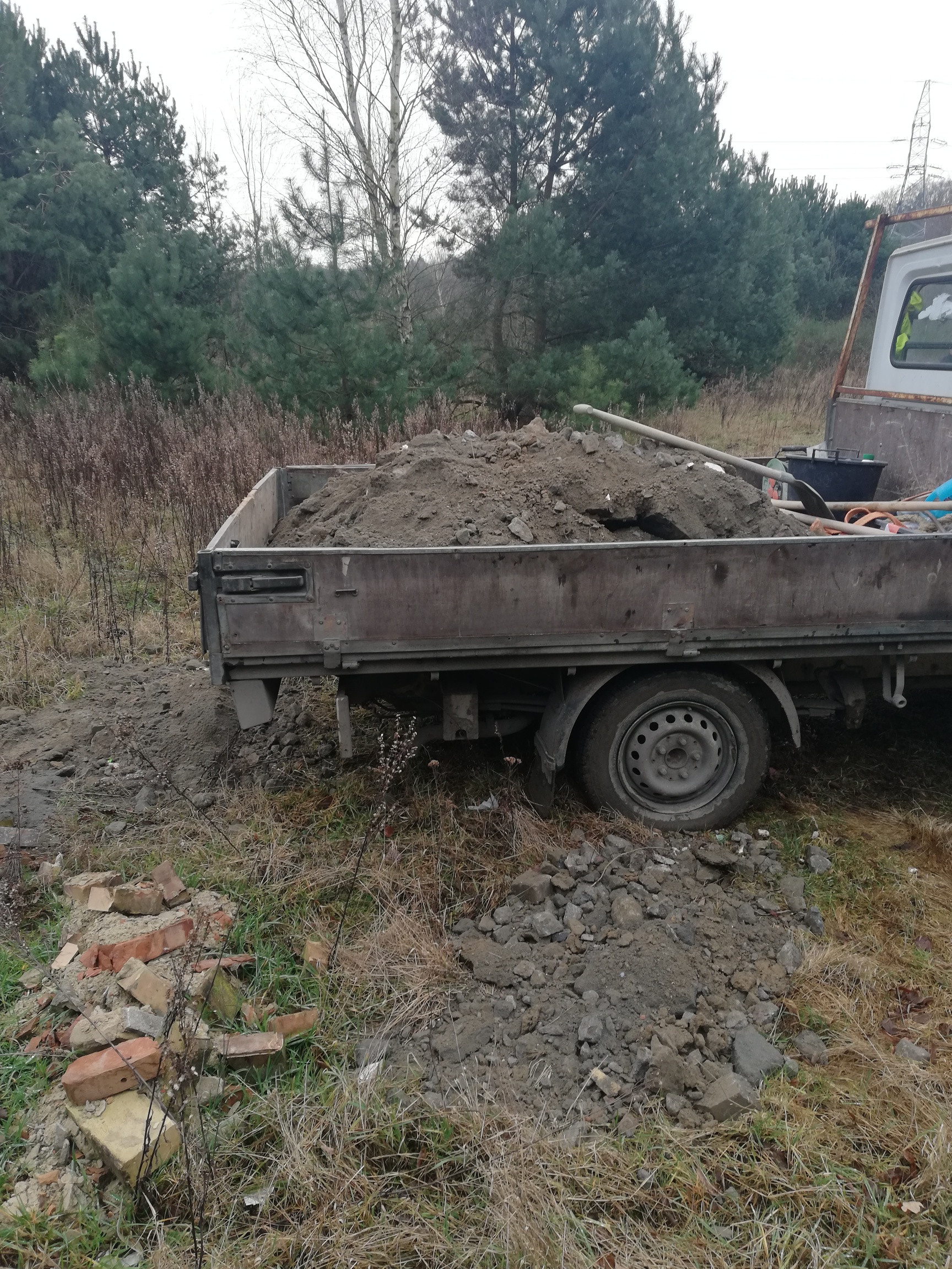 fot. Straż Miejska w Gdyni